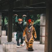 Eurofurence 30 furry convention at Hamburg Germany