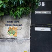 no description
https://www.flickr.com/photos/ztec/52145066905/
Albums: Paris