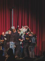 Eurofurence 30 furry convention at Hamburg Germany