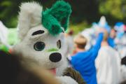 Eurofurence 30 furry convention at Hamburg Germany