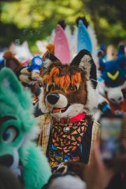 Eurofurence 30 furry convention at Hamburg Germany