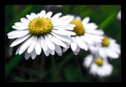 no description
https://www.flickr.com/photos/ztec/8433225421/
Albums: Nature