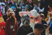 Eurofurence 30 furry convention at Hamburg Germany