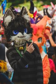 Eurofurence 30 furry convention at Hamburg Germany