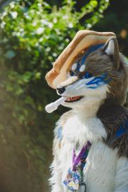 Eurofurence 30 furry convention at Hamburg Germany