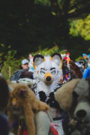 Eurofurence 30 furry convention at Hamburg Germany