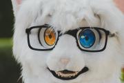 Eurofurence 30 furry convention at Hamburg Germany