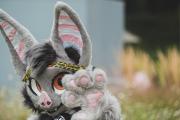 Eurofurence 30 furry convention at Hamburg Germany
