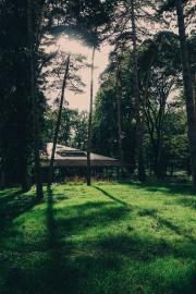 Wooden cabin partially hidden in a forest, surrounded by tall trees, with sunlight filtering through the leaves
    https://www.flickr.com/photos/ztec/53919196784/
    Albums: www