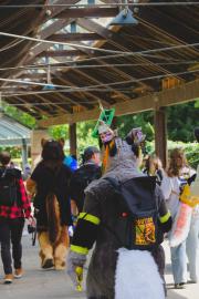 Eurofurence 30 furry convention at Hamburg Germany