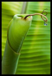 no description
https://www.flickr.com/photos/ztec/8434318236/
Albums: Nature