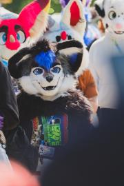 Eurofurence 30 furry convention at Hamburg Germany