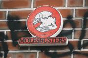 Who you gon' call ? (molebusters)
