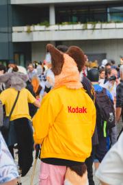 Eurofurence 30 furry convention at Hamburg Germany