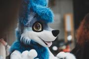 Eurofurence 30 furry convention at Hamburg Germany