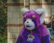 Eurofurence 30 furry convention at Hamburg Germany