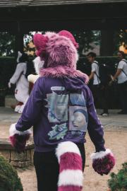 Eurofurence 30 furry convention at Hamburg Germany