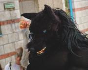 Eurofurence 30 furry convention at Hamburg Germany