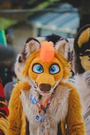 Eurofurence 30 furry convention at Hamburg Germany