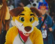 Eurofurence 30 furry convention at Hamburg Germany