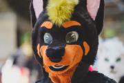 Eurofurence 30 furry convention at Hamburg Germany