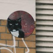 A cat's drawing in a wall in Hamburg.