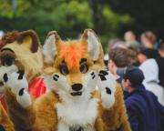 Eurofurence 30 furry convention at Hamburg Germany