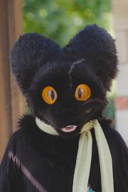Eurofurence 30 furry convention at Hamburg Germany
