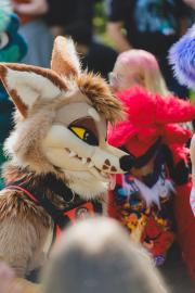 Eurofurence 30 furry convention at Hamburg Germany