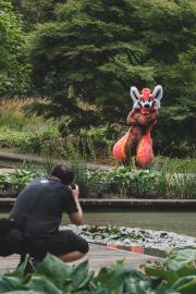 Eurofurence 30 furry convention at Hamburg Germany