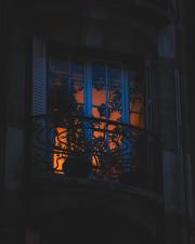 Parisian apartment lighten up in the morning, with plants silhouettes.