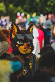 Eurofurence 30 furry convention at Hamburg Germany