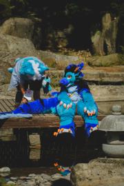 Eurofurence 30 furry convention at Hamburg Germany