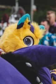 Eurofurence 30 furry convention at Hamburg Germany