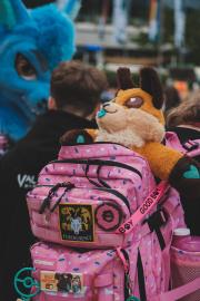 Eurofurence 30 furry convention at Hamburg Germany
