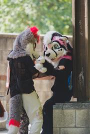 Eurofurence 30 furry convention at Hamburg Germany