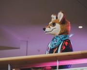 Eurofurence 30 furry convention at Hamburg Germany