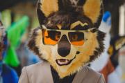 Eurofurence 30 furry convention at Hamburg Germany
