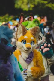 Eurofurence 30 furry convention at Hamburg Germany