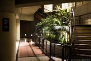Oasis is good enough to be placed underground in the subway pedestrians tunnels. Feel free to folow the emergency exi to the underground forest !
https://www.flickr.com/photos/ztec/8942658037/
Albums: Nature
