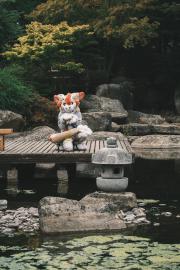 Eurofurence 30 furry convention at Hamburg Germany