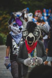 Eurofurence 30 furry convention at Hamburg Germany