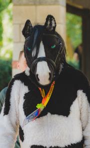Eurofurence 30 furry convention at Hamburg Germany