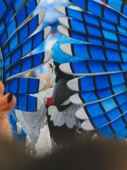 Eurofurence 30 furry convention at Hamburg Germany