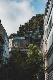 A bunker covered in plants and green.