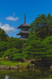 A typical Japanese garden with a tower behind trees in the center.
