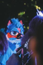 Eurofurence 30 furry convention at Hamburg Germany