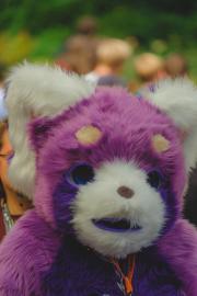 Eurofurence 30 furry convention at Hamburg Germany