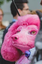 Eurofurence 30 furry convention at Hamburg Germany