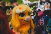 Eurofurence 30 furry convention at Hamburg Germany